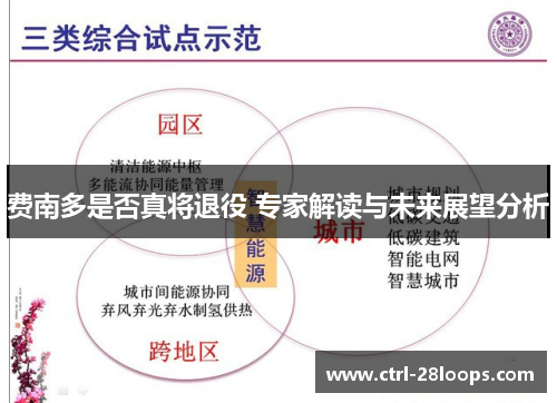 费南多是否真将退役 专家解读与未来展望分析 费南多是否真将退役 专家解读与未来展望分析