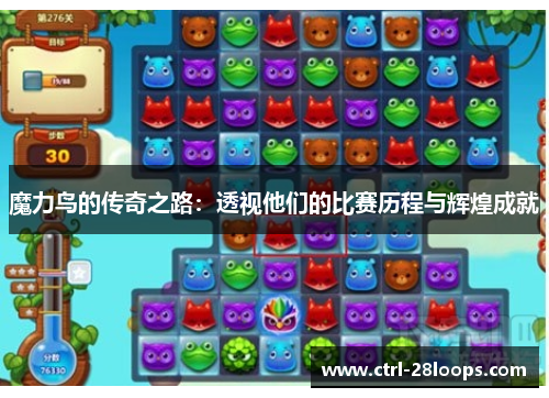 魔力鸟的传奇之路：透视他们的比赛历程与辉煌成就