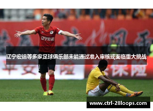 辽宁宏运等多家足球俱乐部未能通过准入审核或面临重大挑战